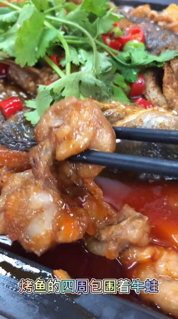 湄公鱼与牛蛙的结合,会是啥味道呢?