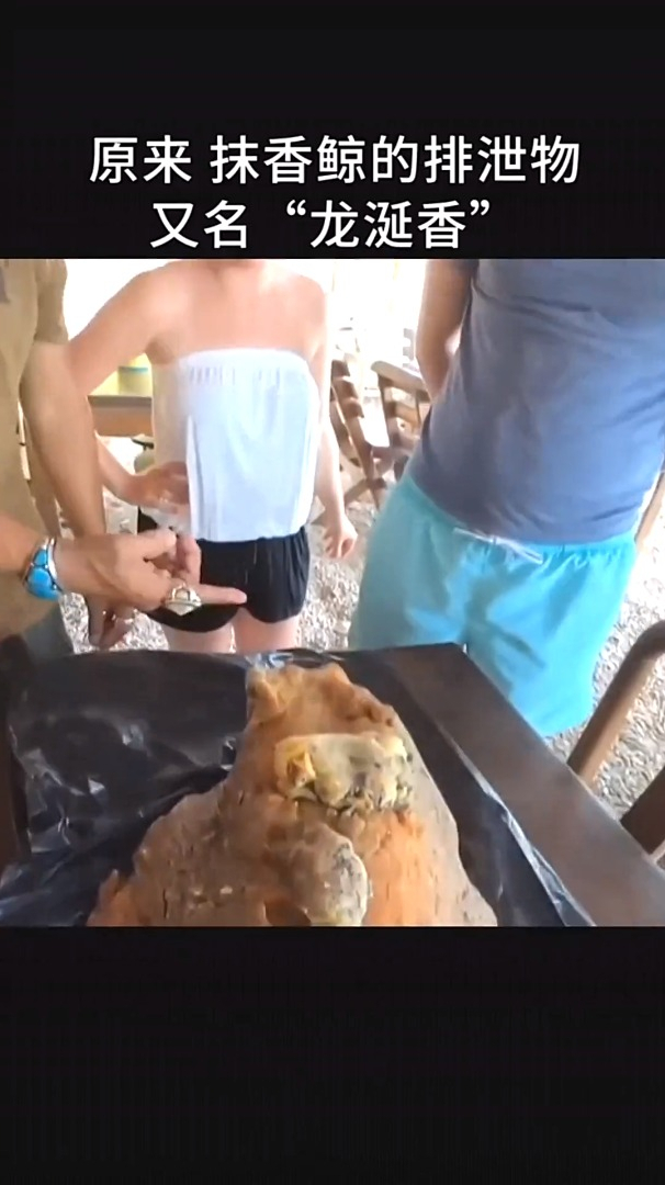 为什么抹香鲸的排泄物比黄金还要珍贵?