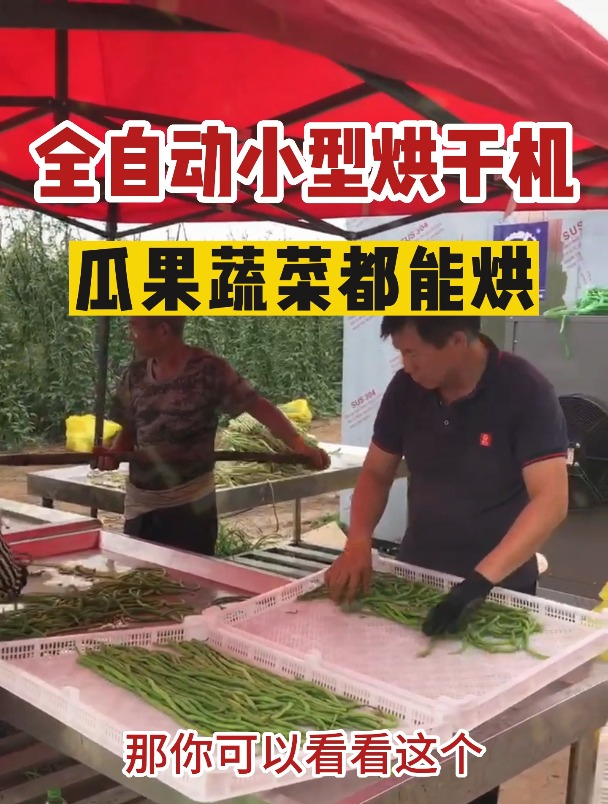 不想外出打工可以看这个,全自动家用小型烘干机,瓜果蔬菜都能烘