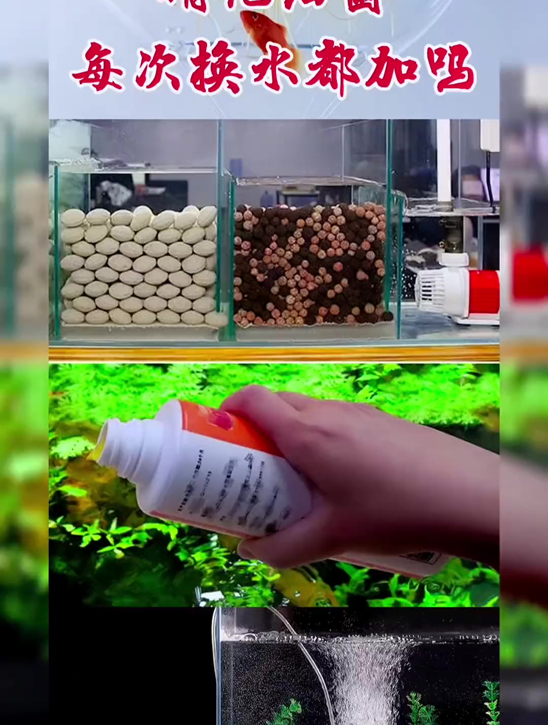 硝化细菌是不是每次换水都需要添加?