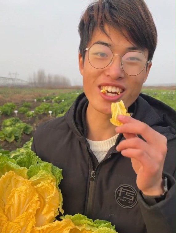 白菜品种千千万,“黄白菜”不多见,口感脆嫩无渣,营养丰富!