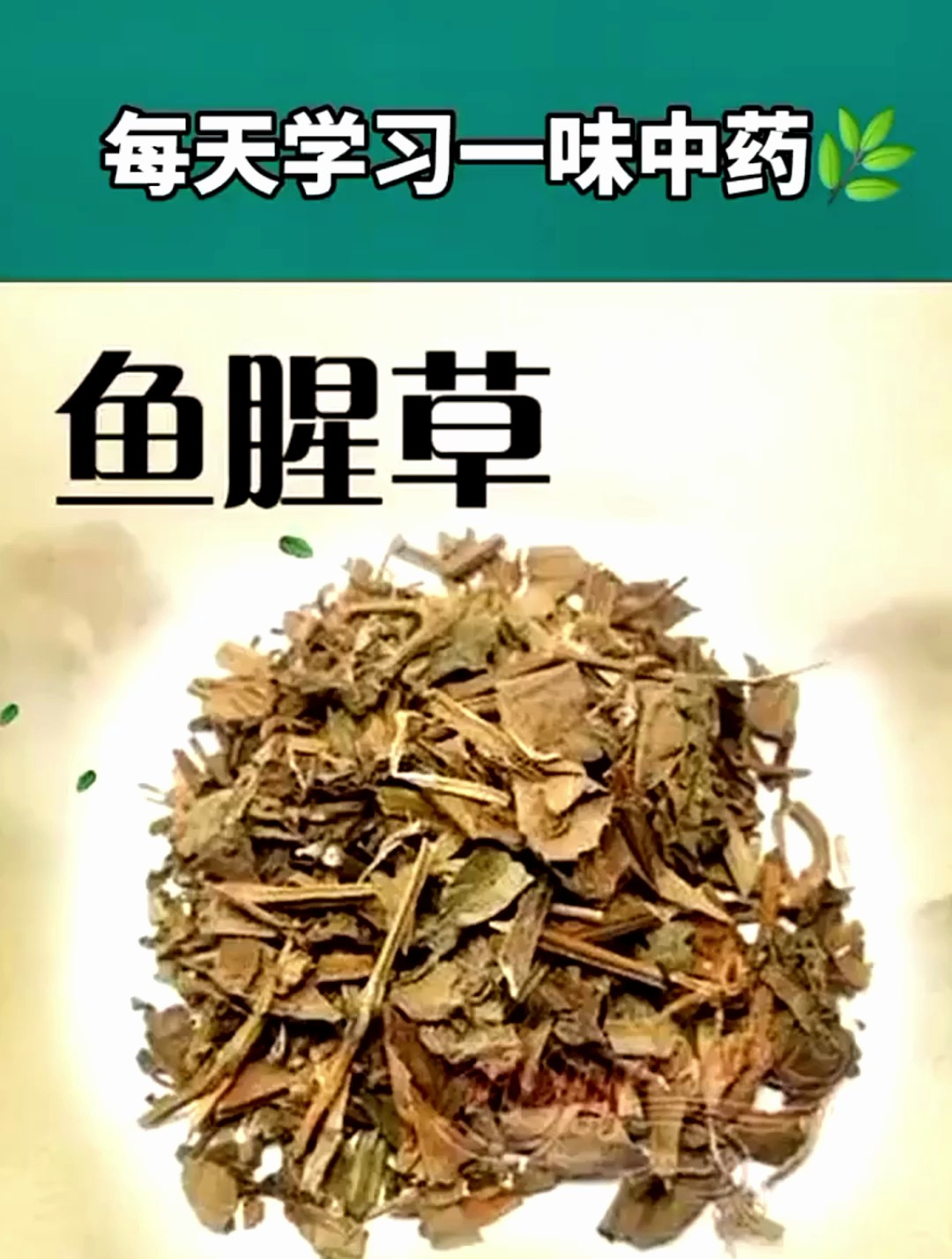 一味中草药——鱼腥草,价值珍贵可抑癌,人称“抗癌草”!