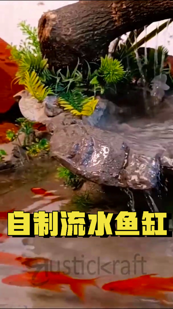 5步教会你自制水泥流水鱼缸