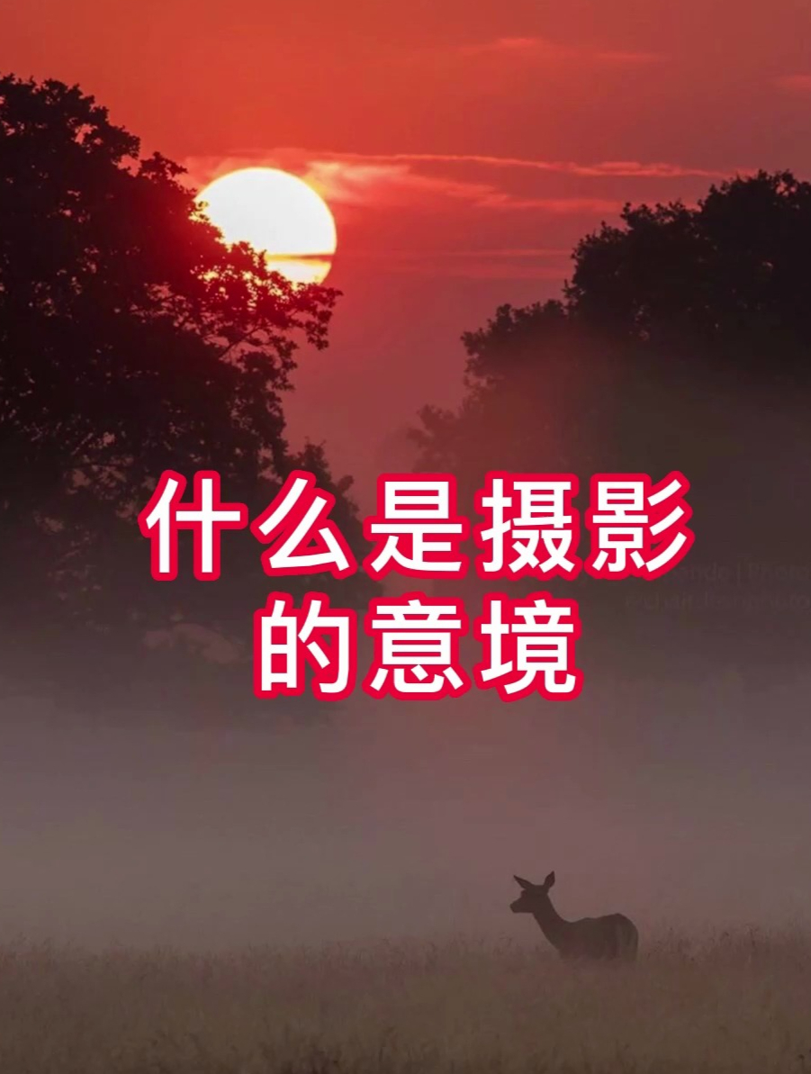 什么是摄影的意境?