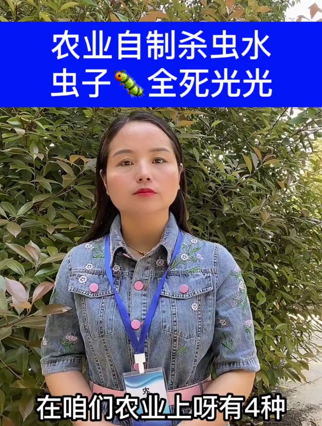 自制高效杀虫水