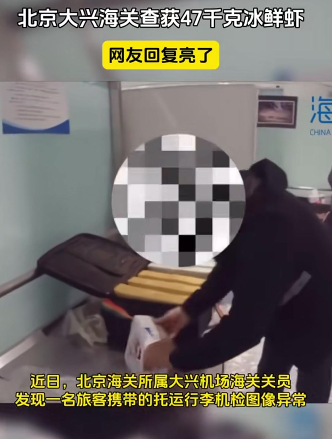 北京大兴海关查获47千克冰鲜虾!网友评论亮了