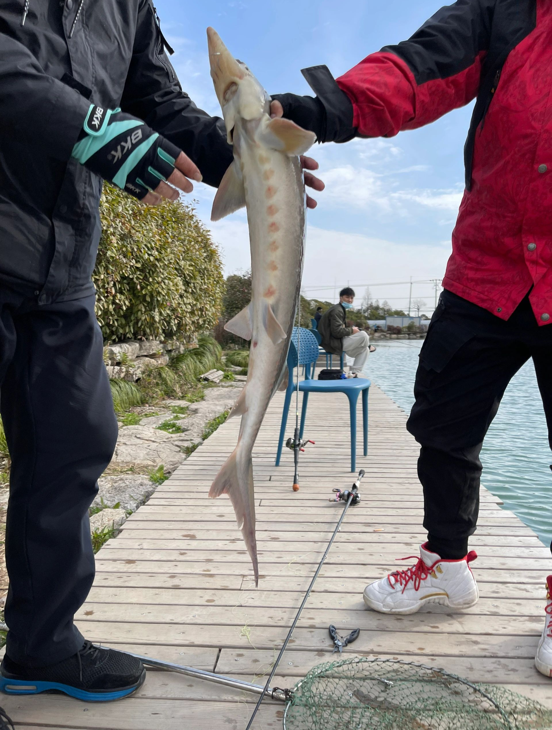 秋季鱼的活动规律是什么?记住这8句话,看水面就知道今天鱼获!