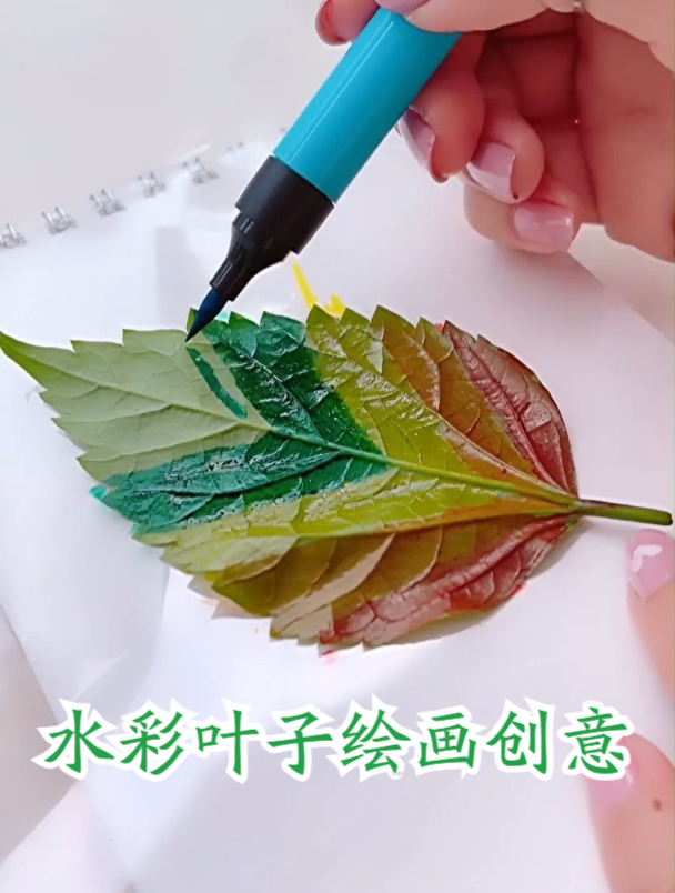 水彩叶子绘画创意