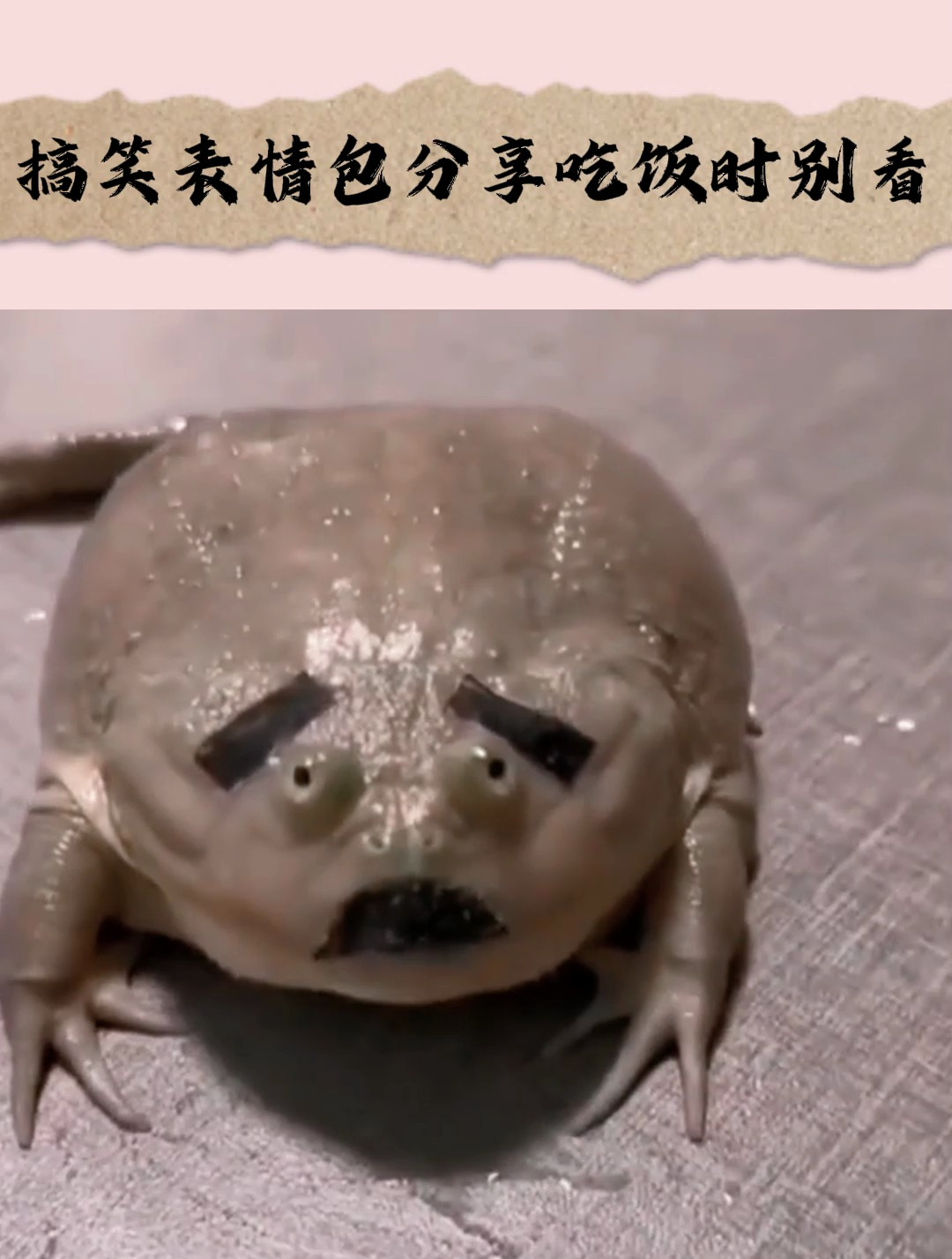 搞笑表情包分享,最好吃饭时别看,别怪我没提醒你