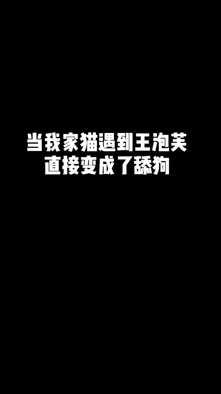 猫届舔狗我算是见识到了王泡芙