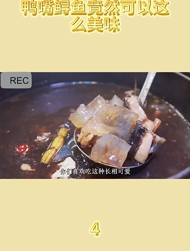 鸭嘴鲟鱼竟然可以这么美味4