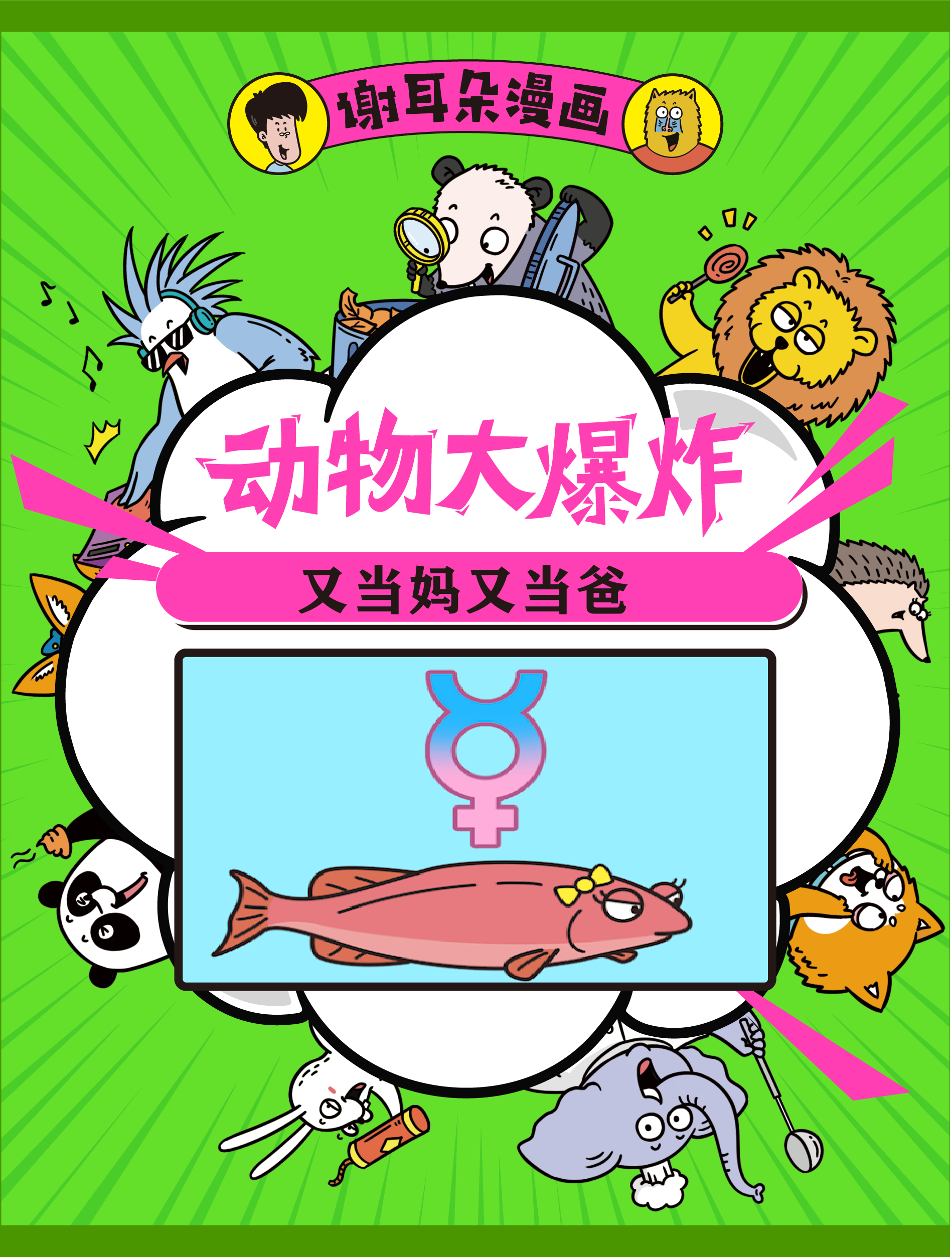 又当妈又当爹 突额隆头鱼 给孩子看的小知识