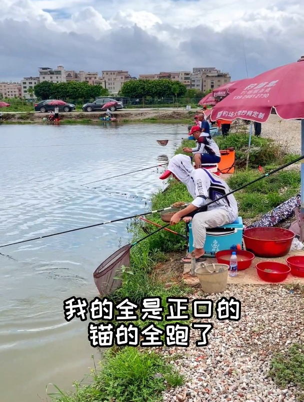 钓了十条罗非鱼,十全十美