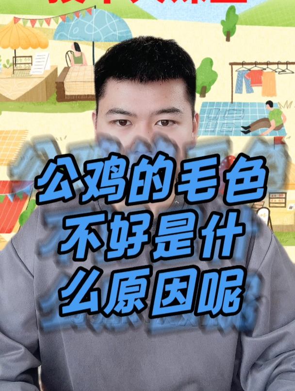 鸡吃什么毛色有光泽如何让鸡变得毛色光亮土鸡毛色不好该喂什么
