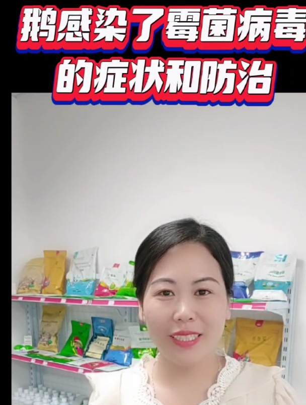 鹅感染霉菌病毒的症状和防治