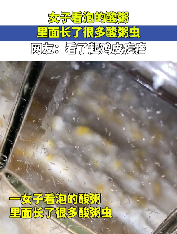 女子看泡的酸粥,里面长了很多酸粥虫,网友:看了起鸡皮疙瘩!