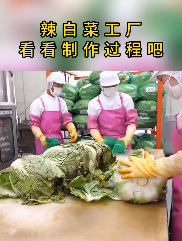 辣白菜工厂,看看制作过程吧