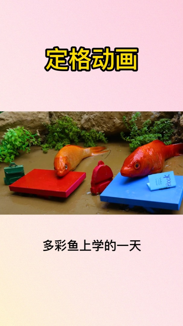 儿童定格动画—多彩鱼上学的一天,太有意思了^v^