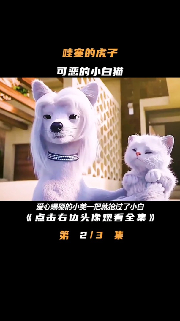 流浪的小白猫竟然是个十足的坏蛋!