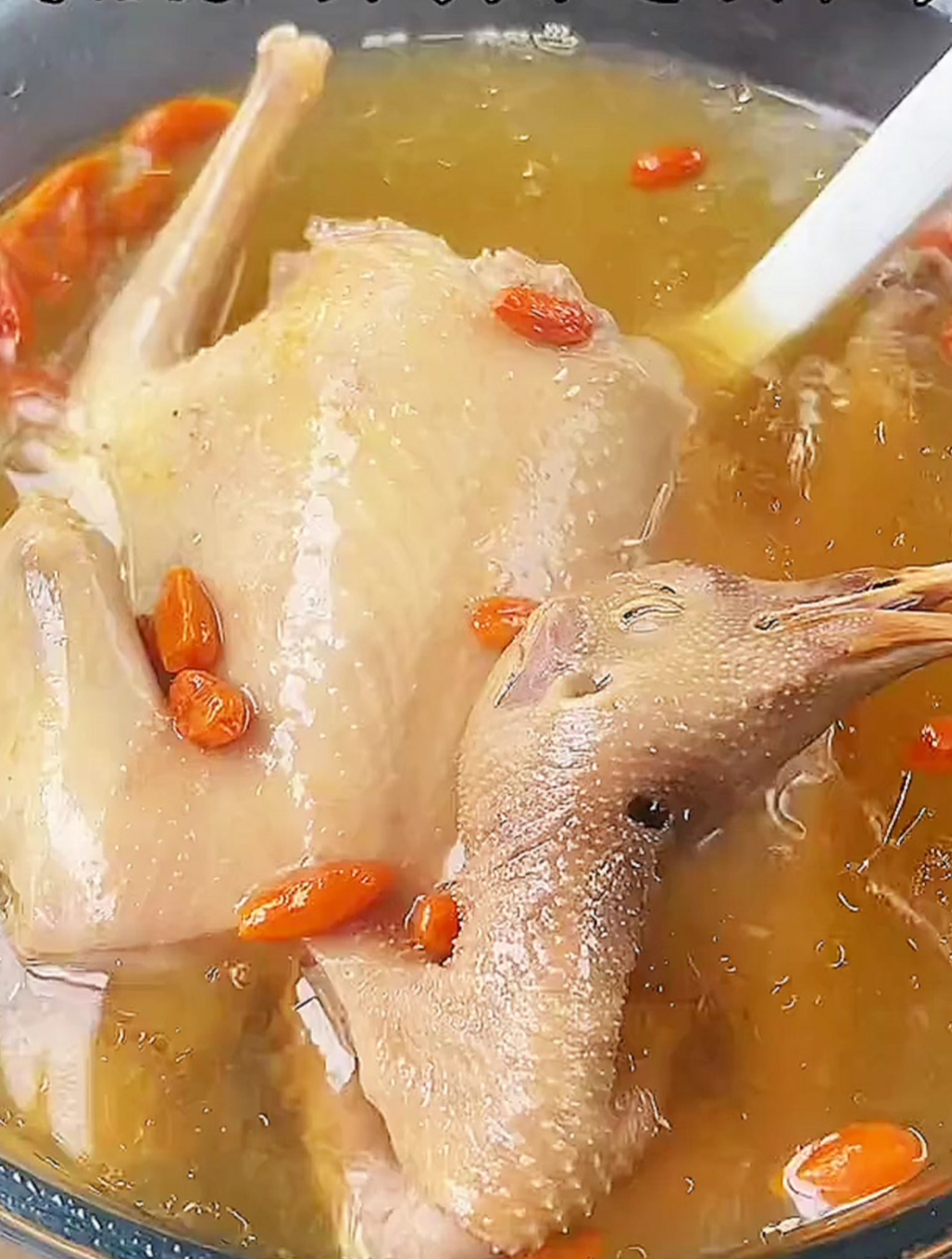 鸽子汤特别滋补的炖法,汤浓味美,肉嫩不腥气,营养还翻倍!