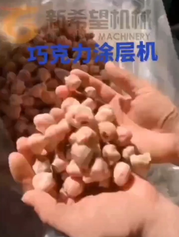 冻干草莓涂层 果脯巧克力涂层机 冻干山楂涂层机