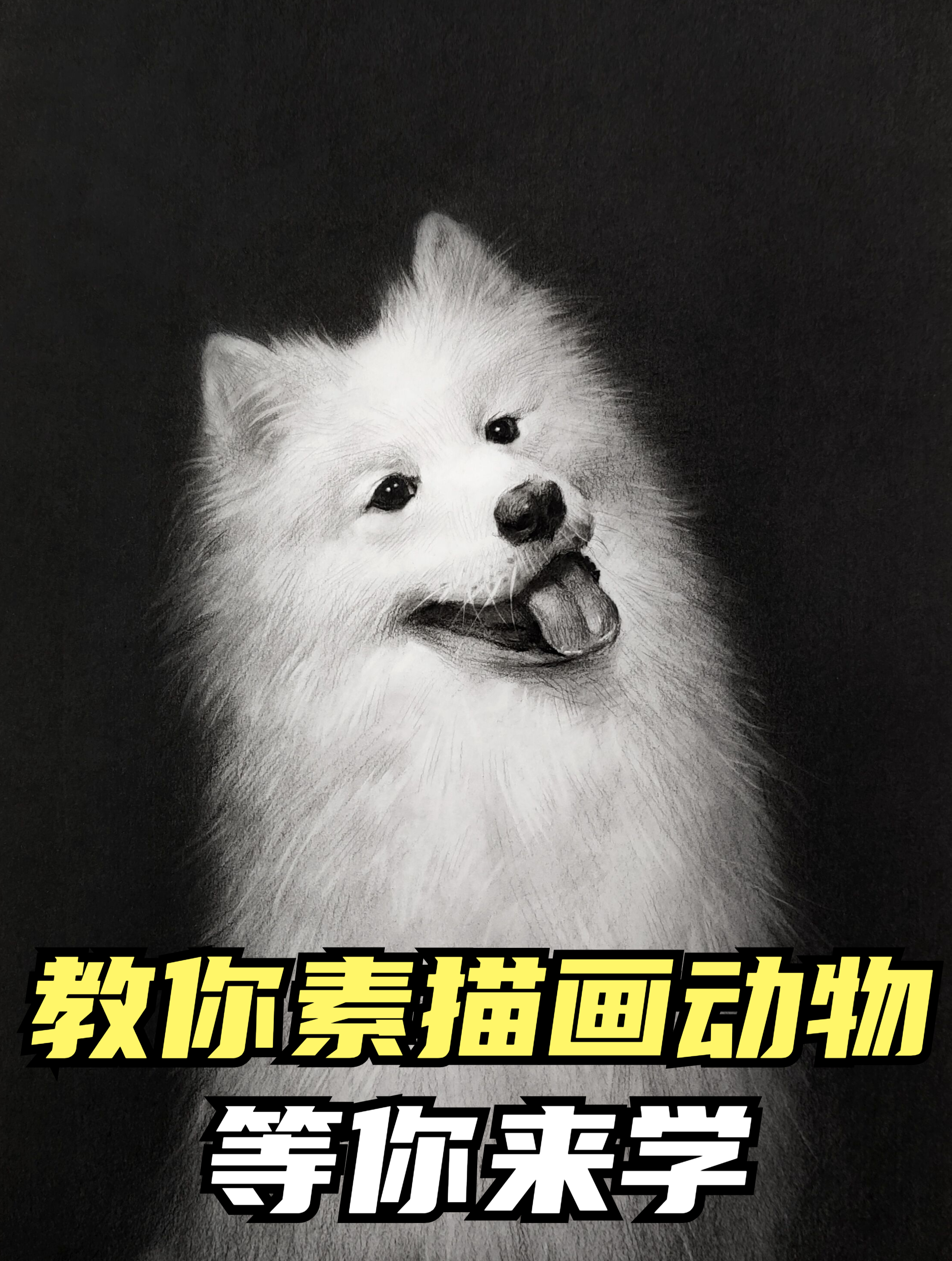 烧烧茄子:美术老师教你零基础画动物,超简单!必学收藏系列~