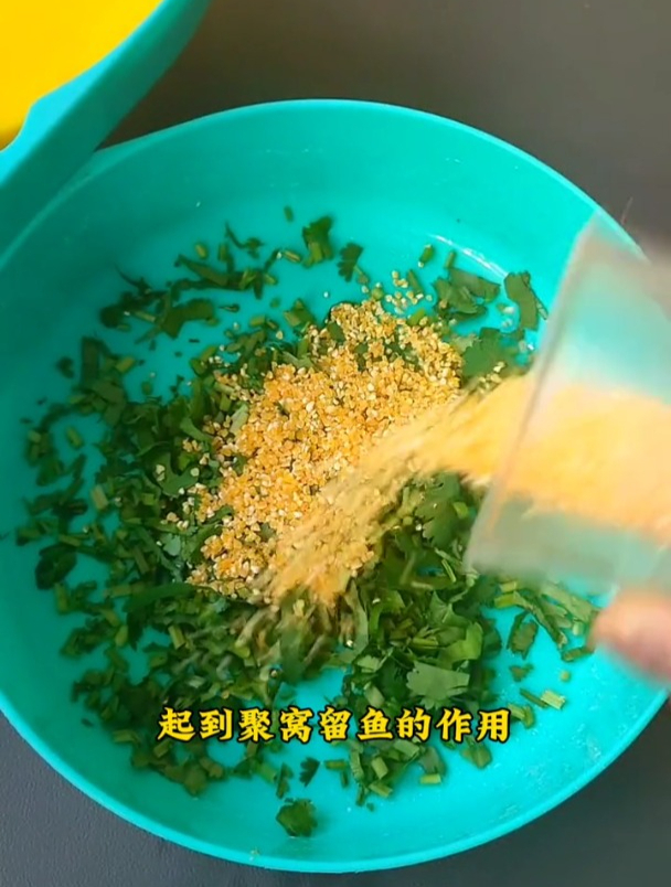 草鱼爱吃草?错,最爱吃的其实是这东西!