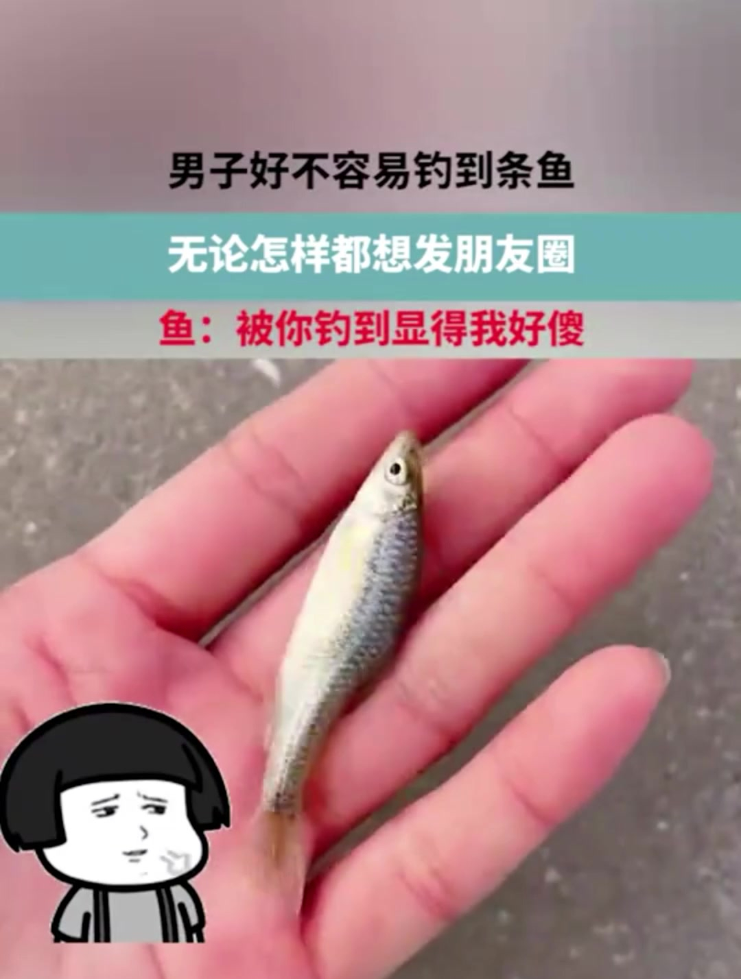 男子好不容易钓到条鱼,想发朋友圈,鱼:被你钓到显得我好傻