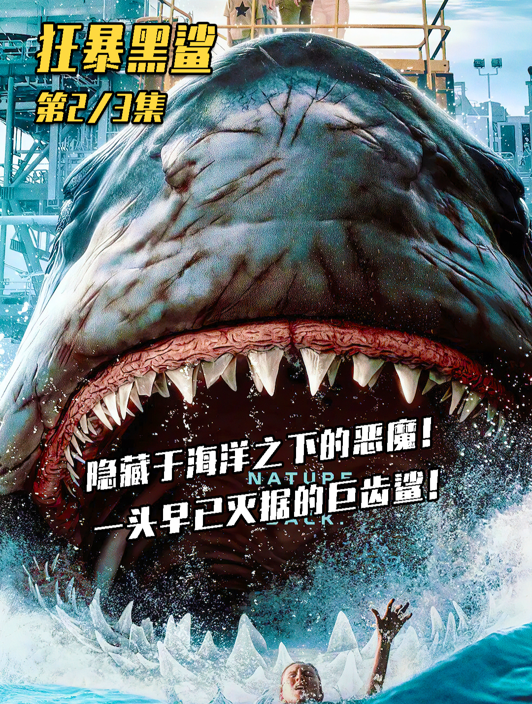 恐怖鲨鱼电影《狂暴黑鲨》震撼来袭!巨齿鲨的真相!