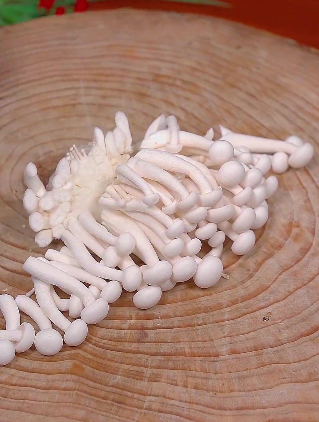 海鲜菇豆腐汤
