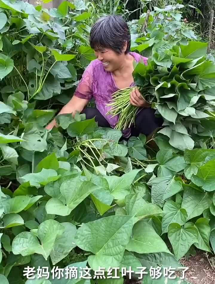 农村美食从小吃到大的红薯窝窝头有吃过的吗