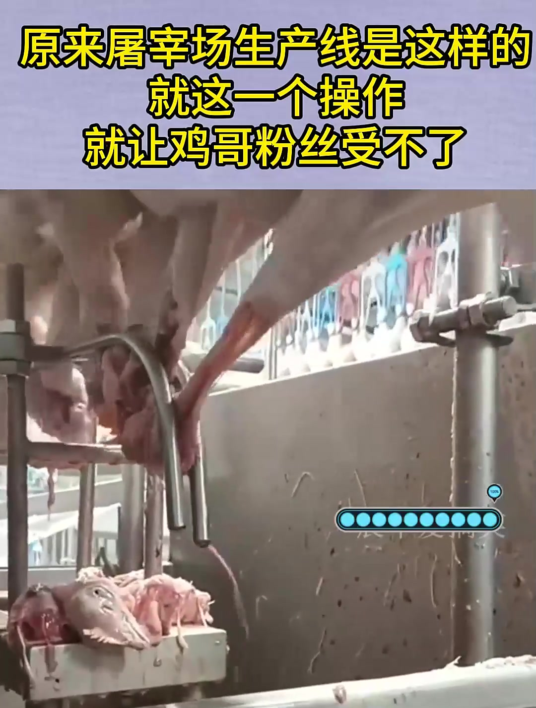 原来屠宰场生产线是这样的,就这一个操作,就让鸡哥粉丝受不了