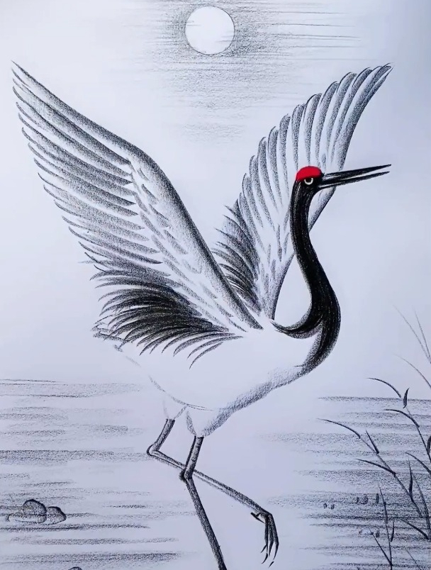 一支笔画画:简单几笔画仙鹤