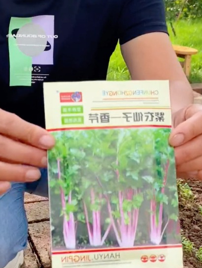 这个颜色的芹菜你肯定没见过,比水果还甜,清炒脆嫩爽口!