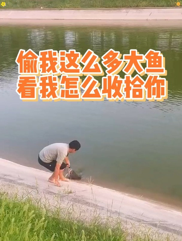 好家伙!男子偷鱼被抓证据确凿,竟然还敢狡辩!