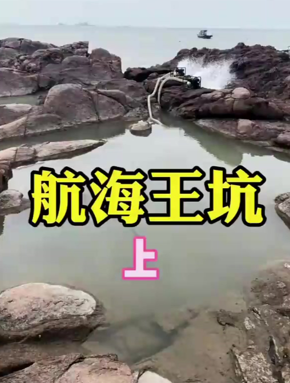 七只飞鸽打窝200平巨坑 石斑鱼海鲫前扑后继,鱼获重达30斤