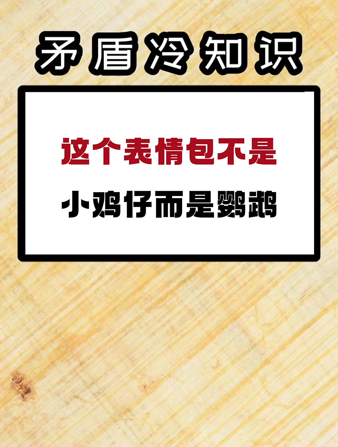 这个表情包不是小鸡仔而是鹦鹉