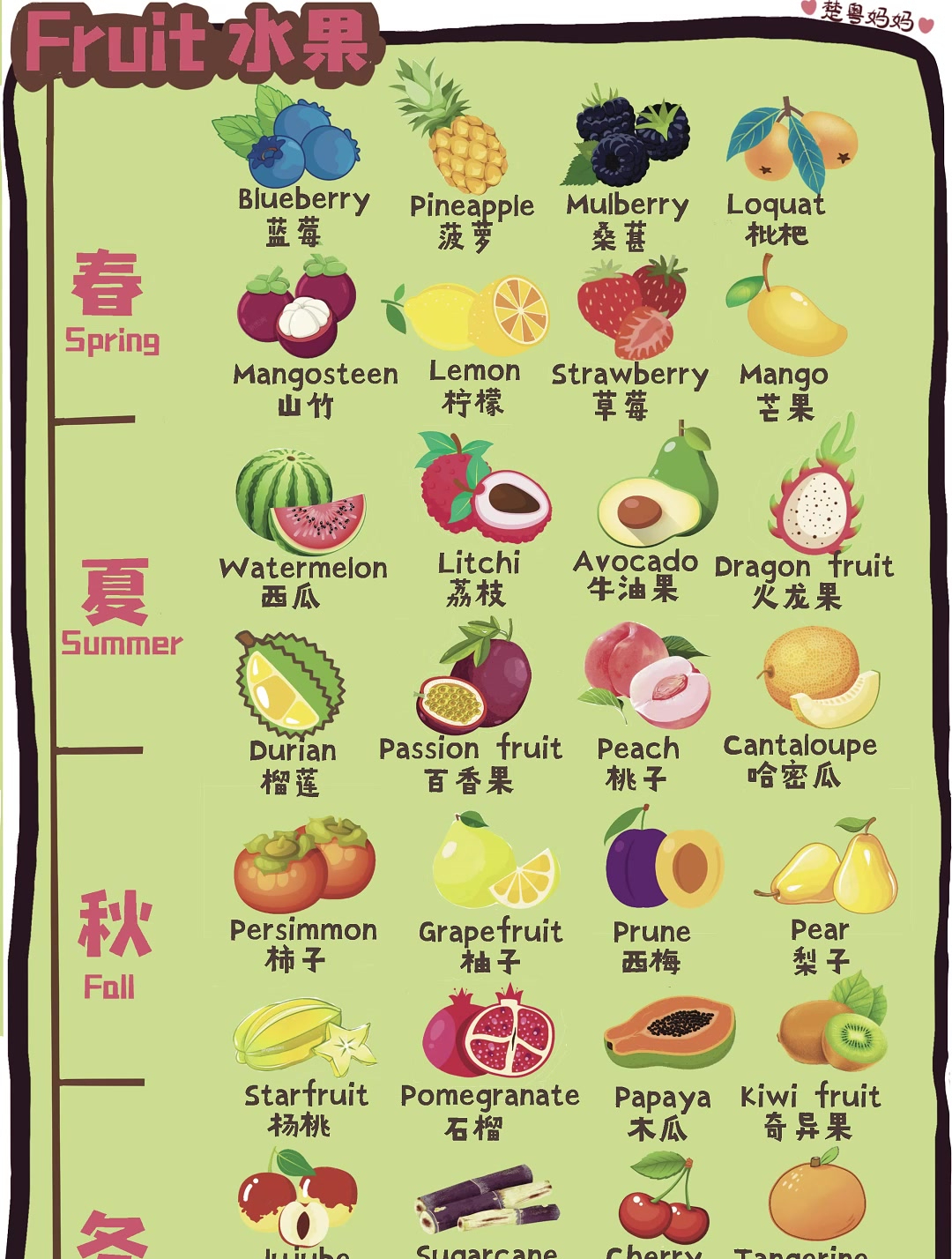 1分钟主题背单词|榴莲用英语怎么说?