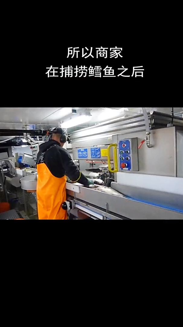 为什么市场上的鳕鱼都没有鱼头?是商家的套路吗