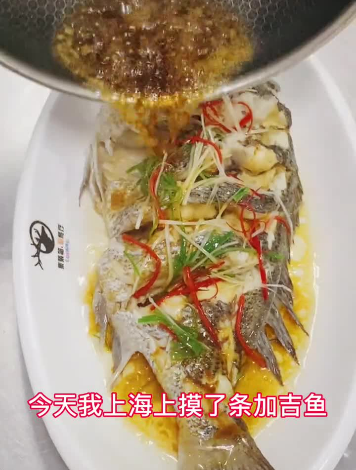 油泼加吉鱼、新鲜的鱼怎么做都好吃,炖也不糙要不信你出鱼我出锅
