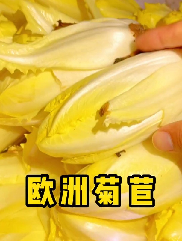 老农分享种植“金玉兰菜”的方法,30天就能采摘好几年!