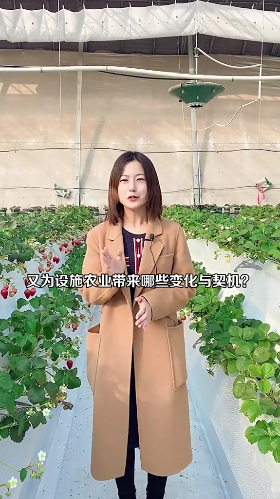 一条视频为你解读给设施农业带来的变化和契机