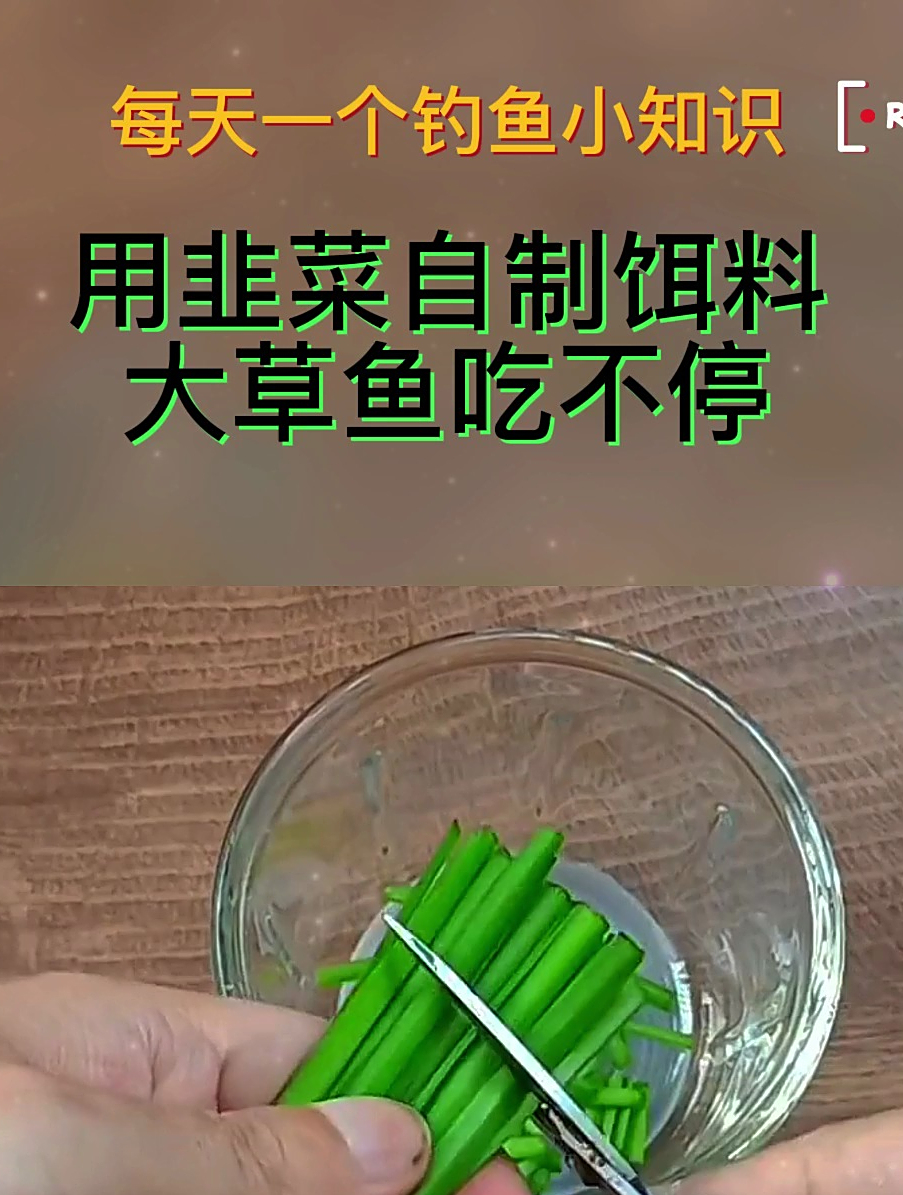 钓草鱼的天然饵,据说一钓一个准,却因太好用被鱼老板“封杀”!