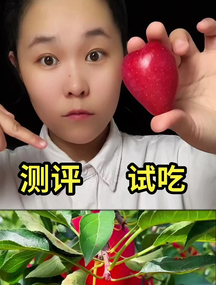 测评试吃,鸡心果