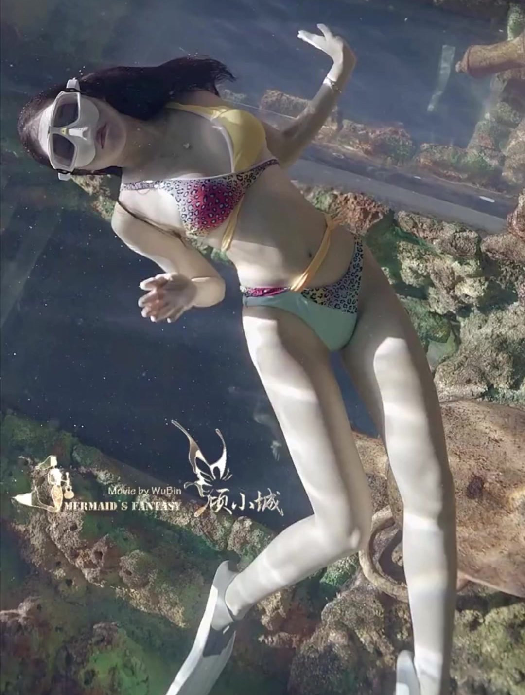 这就是美人鱼该有的样子吧,优雅唯美大方,真是看一遍爱一遍!