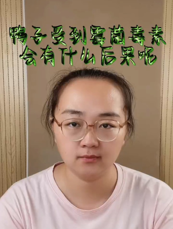 鸭子受到霉菌毒素会有什么后果呢?鸭子受到霉菌毒素的症状?