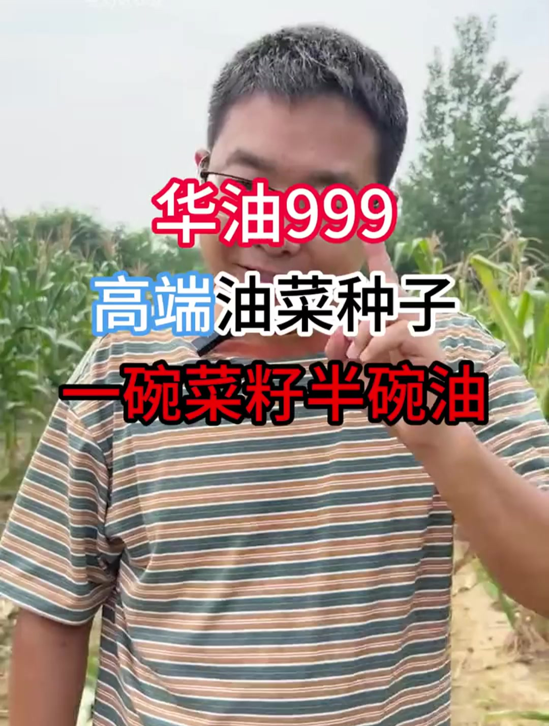 华油999,高产油菜种子