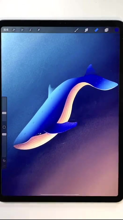 iPad插画教程,鲸2