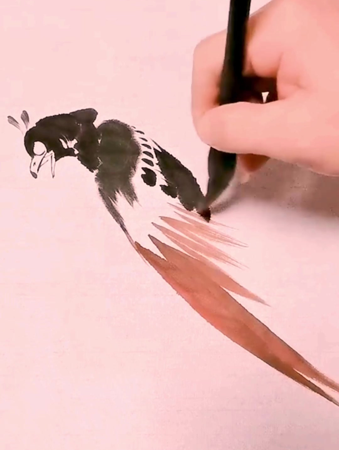 画出漂亮山鸡的方法