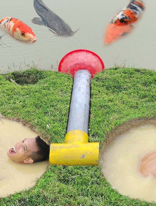 小伙挖坑等鱼来,收获的鱼连钓鱼人都羡慕,厉害了